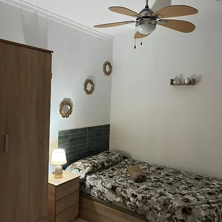 Cerda 112 * Alicante