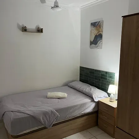 Cerda 112 * Alicante